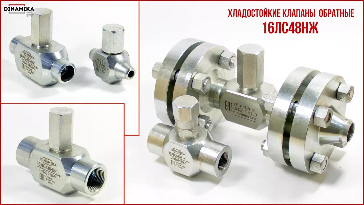 16лс48нж Клапан обратный подъёмный в Жуковском
